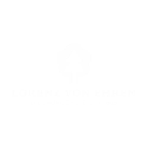 Logo Firma Lorenz von Ehren